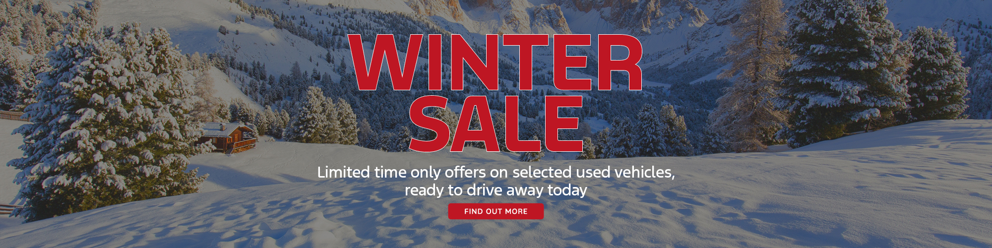 Winter Sale Banner